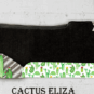 Cactus Eliza