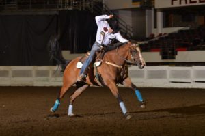 best saddle pads for horses