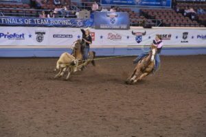best saddle pads western saddles