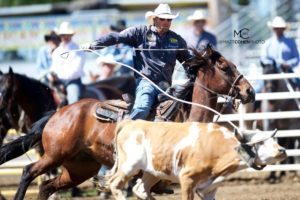saddle blankets and pads