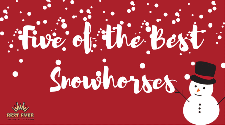 Best Ever Pads holiday snowhorses
