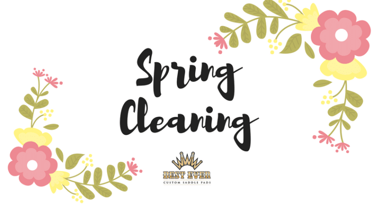 Best Ever Pads spring cleaning