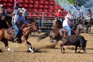 Best Ever Pads team rider Kellan Johnson