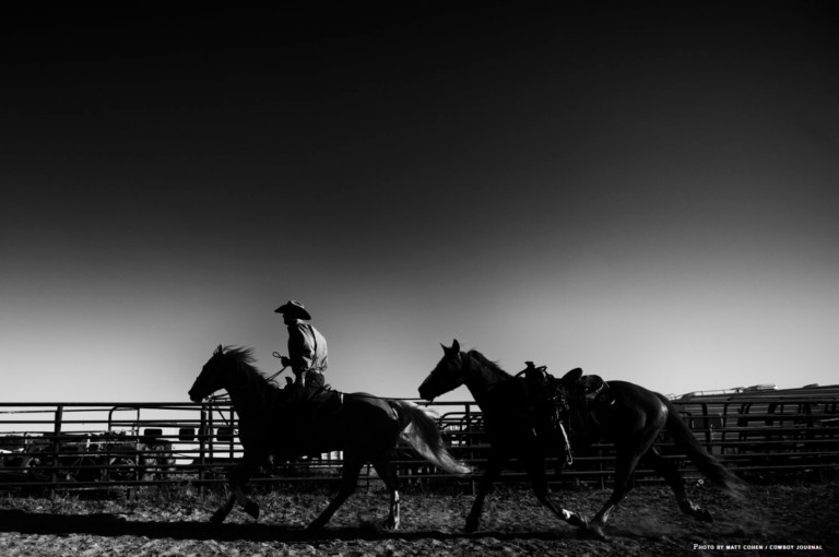 Cowboy Journal: Bear Pascoe – Good Start