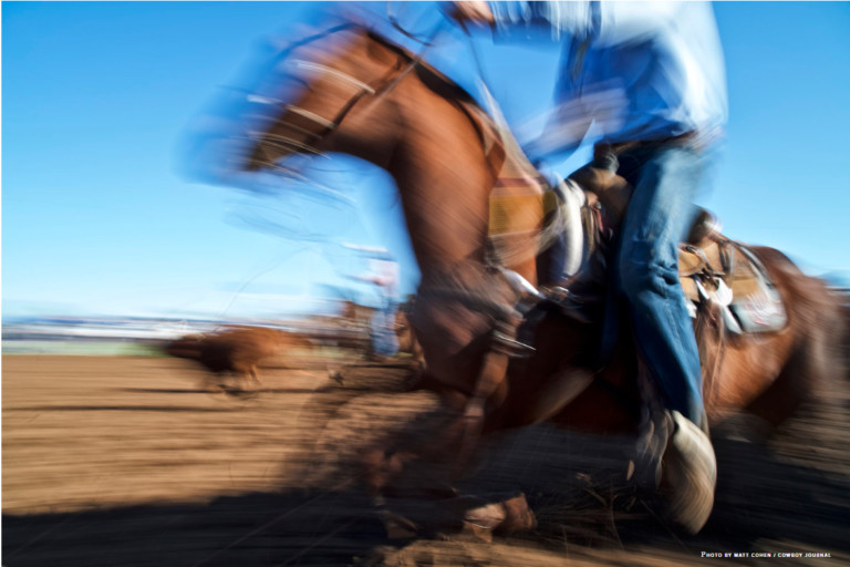 Cowboy Journal: Spencer Mitchell – Golden Opportunity