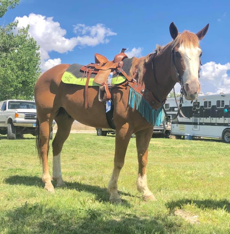 Best Ever kids saddle
