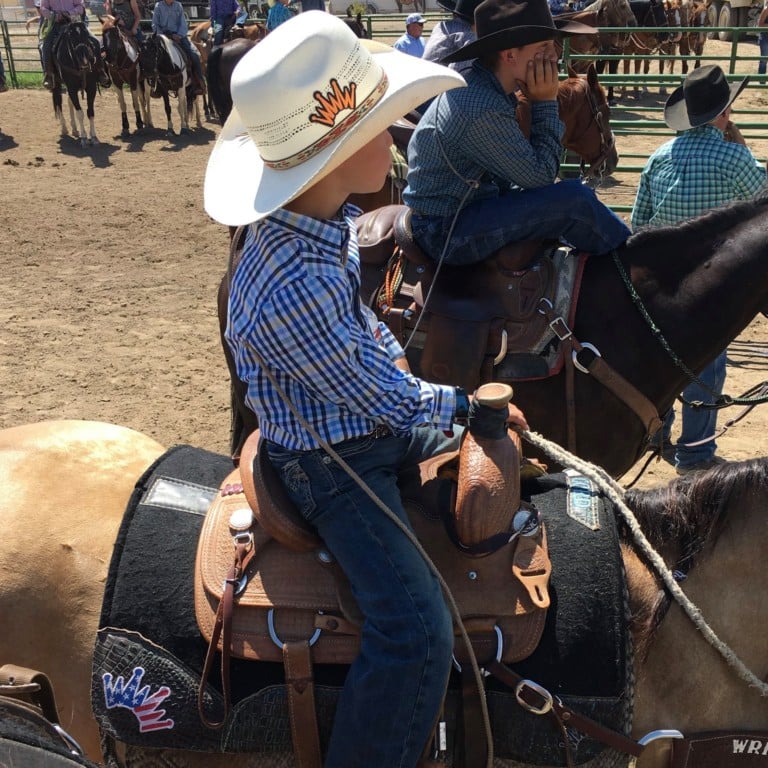 Jr. Rodeo Horse Comfort & Care