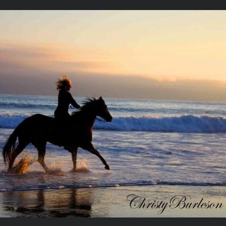 That’s not “just a horse”