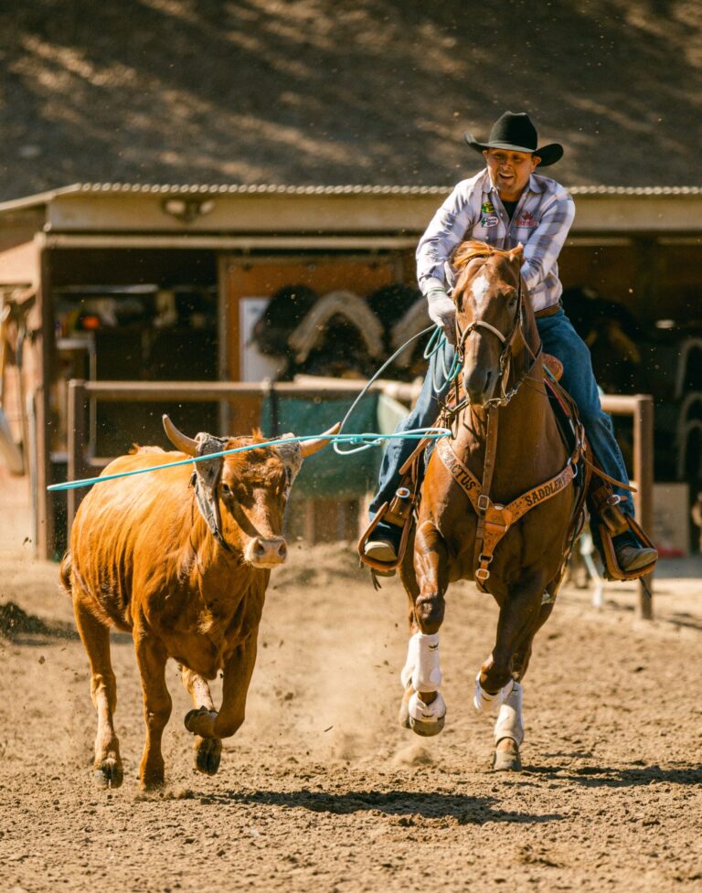 The Man that Rides for the Horse