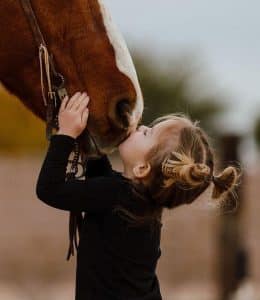 Little girl loves a horse