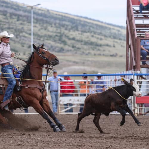 Rylee George_HRae_0052025_Cody_Slack_BA_