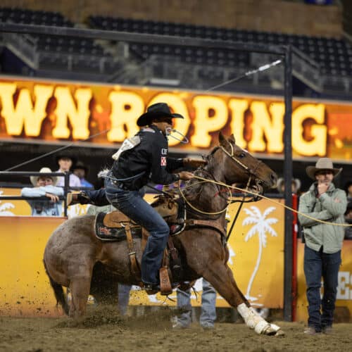 Shad Mayfield_haileykenphoto--3 (1)