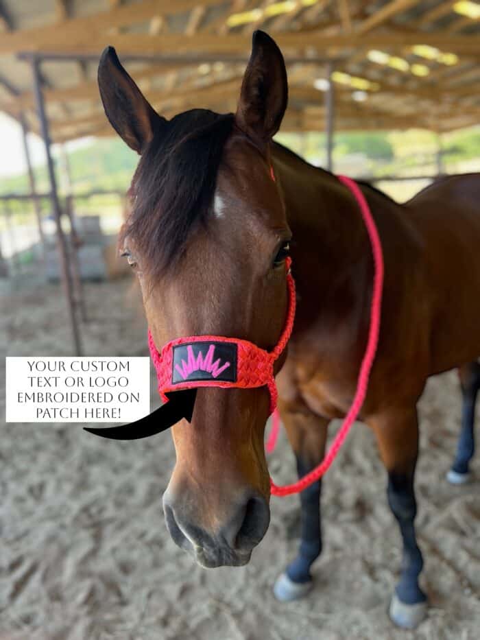 Hot pink mule tape halter with customization note