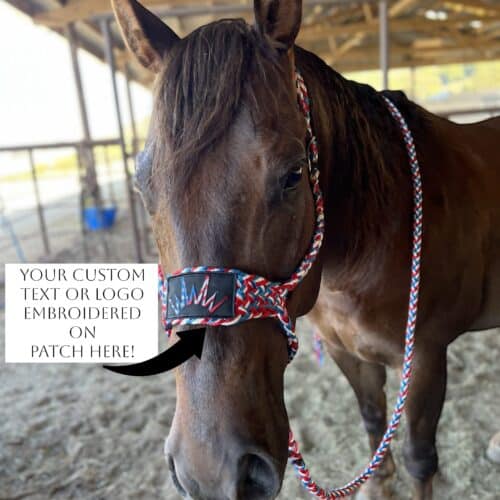 Red white blue mule tape halter with note for customization