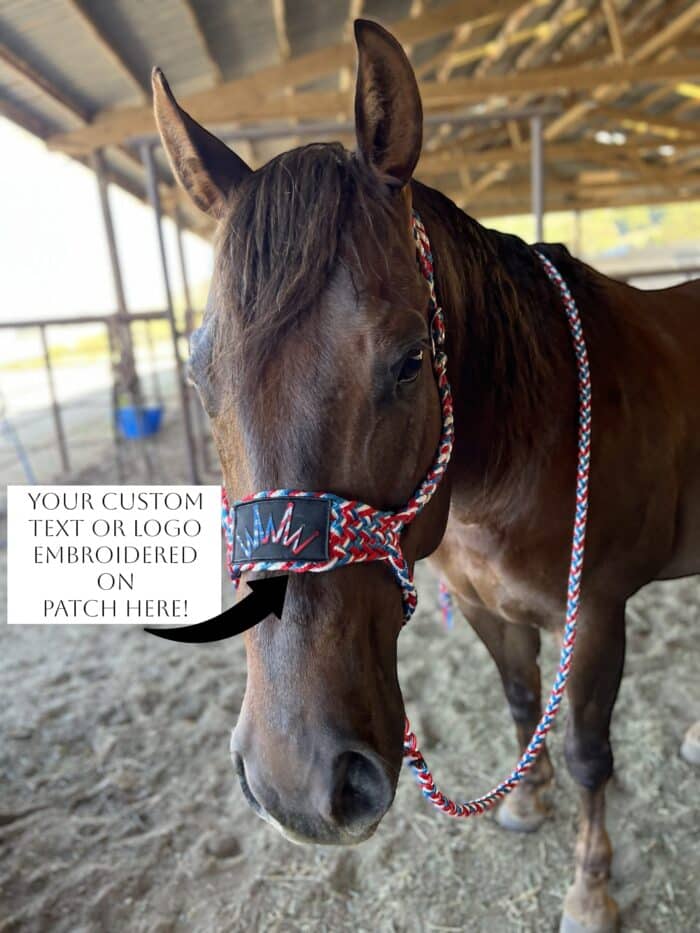 Red white blue mule tape halter with note for customization