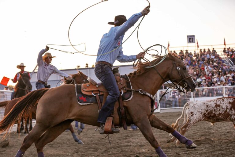 Saddle Pad Questions