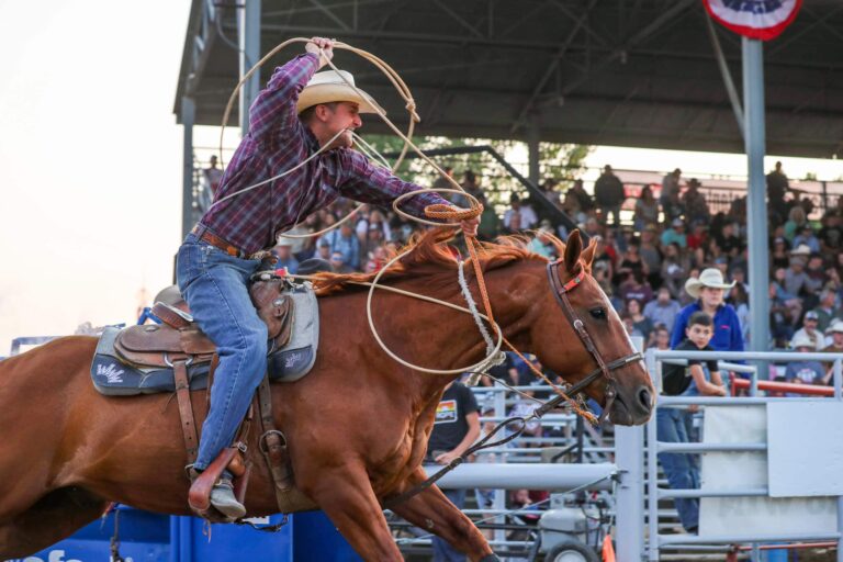 Customization Questions