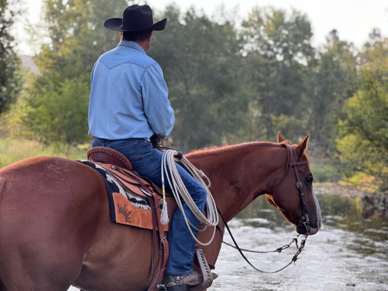 Pad Fitting Frequently Asked Questions