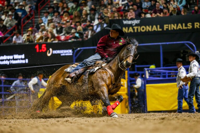 How long does a custom saddle pad take? When will my pad be done?