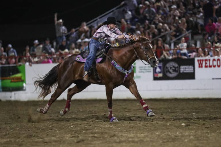 Purchasing Questions