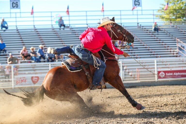 The Ultimate Guide to National Finals Rodeo