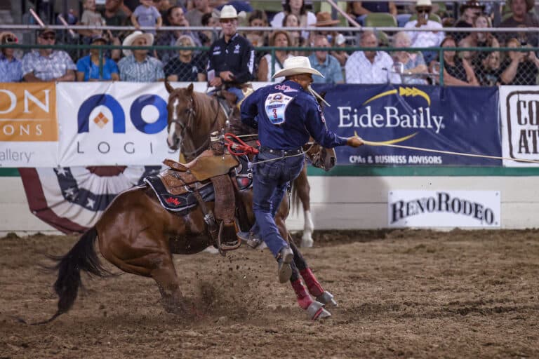 The Ultimate Guide to Tiedown Roping: History, Techniques, and Winning Strategies