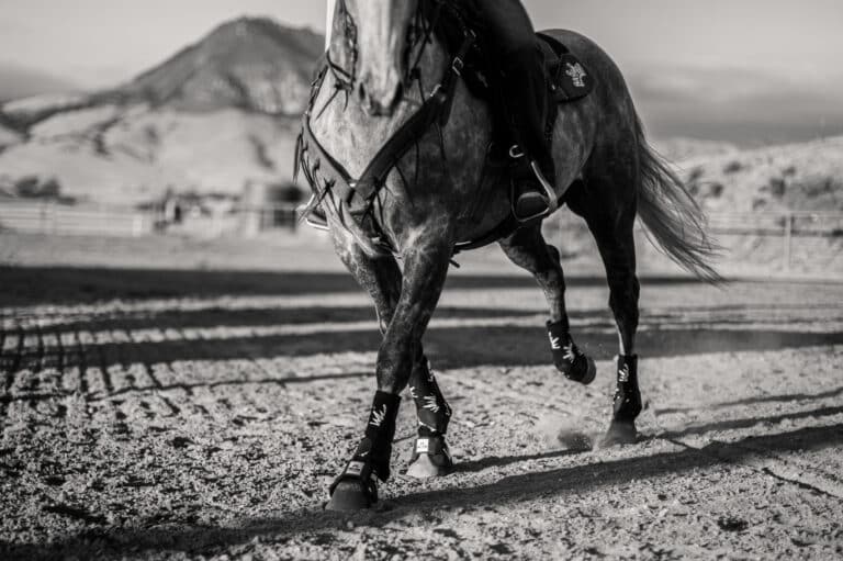 Pad Cleaning Information