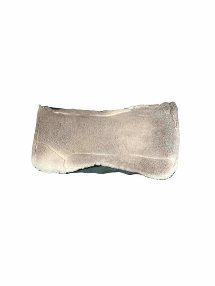 Photoroom_018_20251010_082112 Photoroom_018_20251010_082112