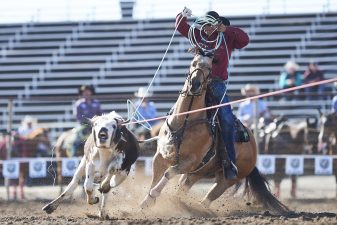 Cesar de la Cruz, Oakdale 2019