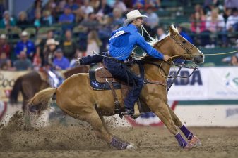 Shane Hanchey, Reno 2019